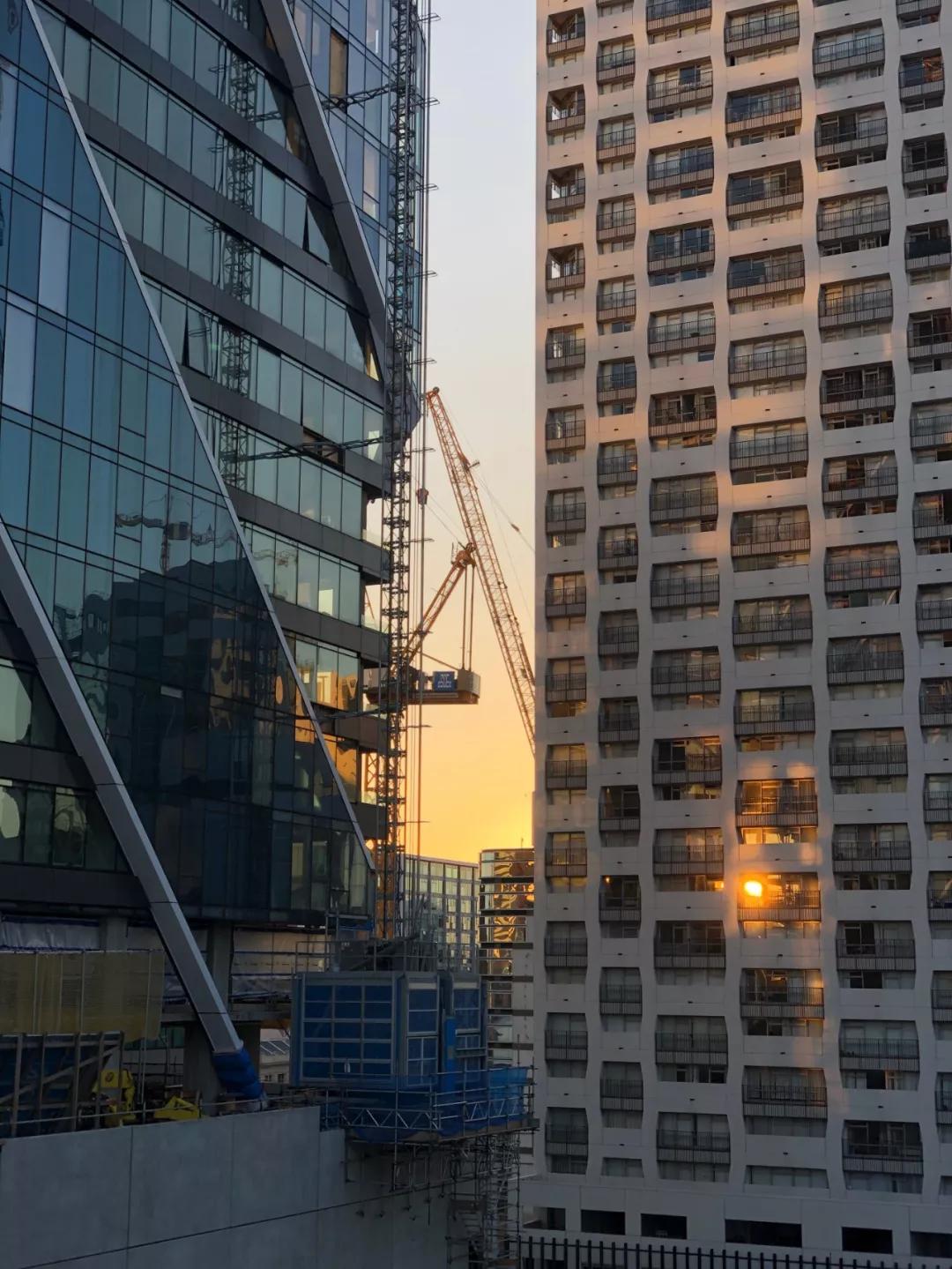 奥克兰旅居生活,新西兰打工旅行每日一记