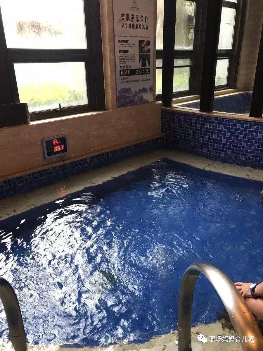 冬天临安湍口温泉游玩攻略,临安天目山风景区温泉