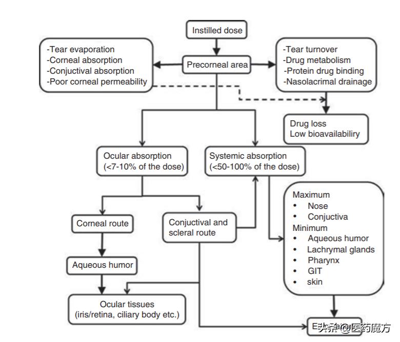 生物分析专栏|眼科用药的药代动力学和生物分析