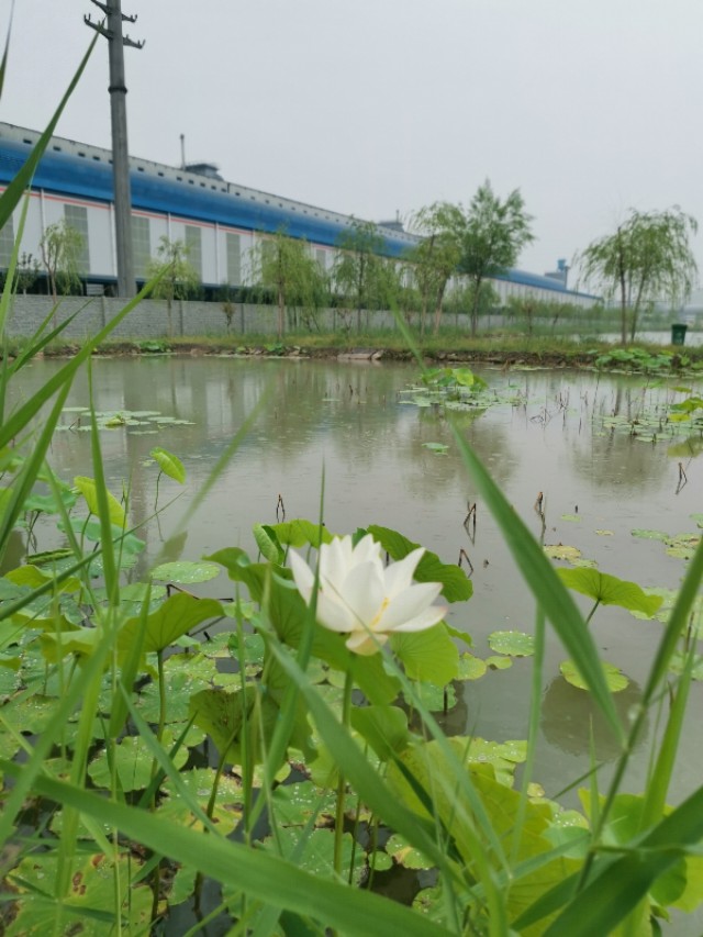 电石详解,电石是啥玩意