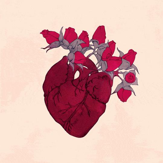 血脂高于多少为重度高血脂,血脂达到多少容易得血栓