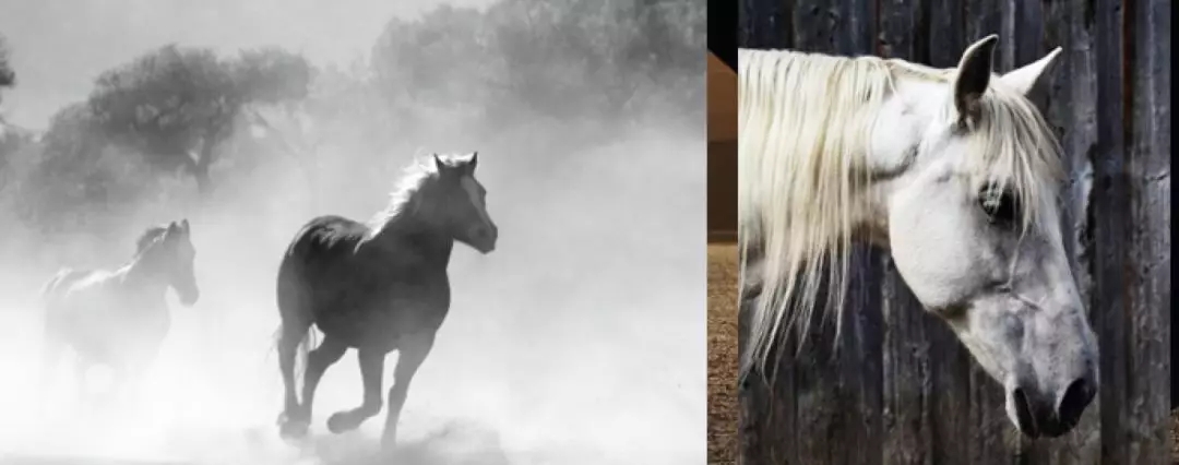 对标市场价4W的床垫，睡了她，才知道再也回不去了