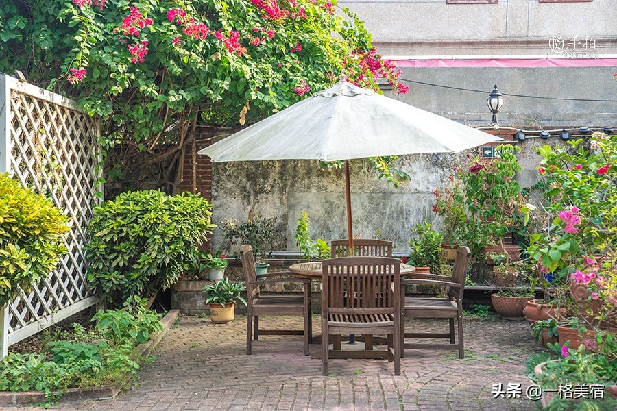 鼓浪屿吃喝,鼓浪屿在哪吃不被坑