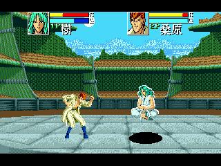 md经典游戏大全,md游戏大航海时代2攻略