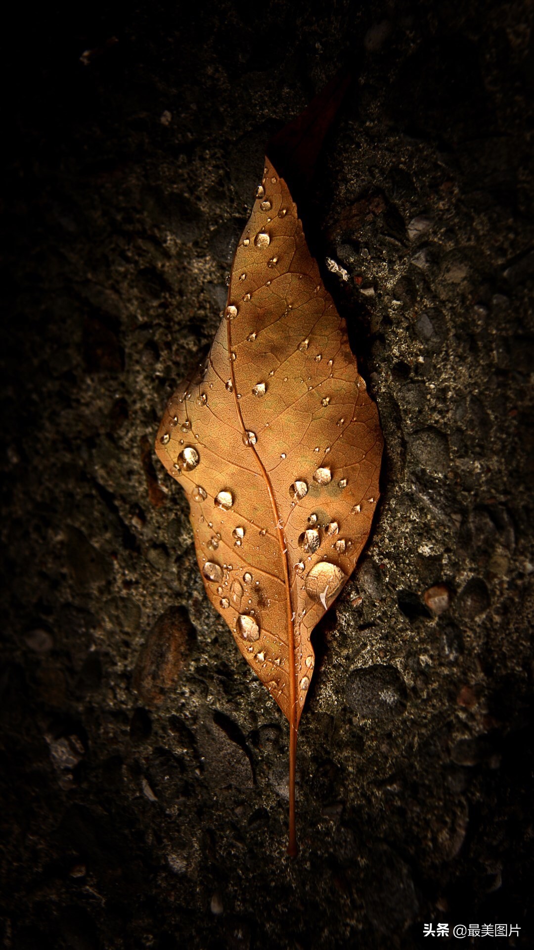 手机商务壁纸高清金属质感,高清手机壁纸简约时尚大全