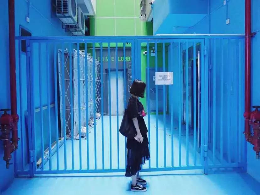 春日赏花深圳,深圳春游赏花