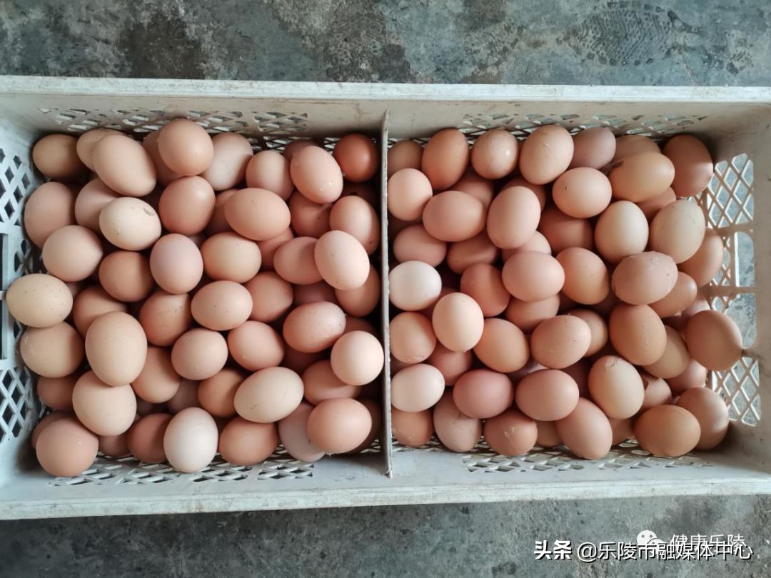 同舟共济,来自卫健人抗击疫情的暖心力量......