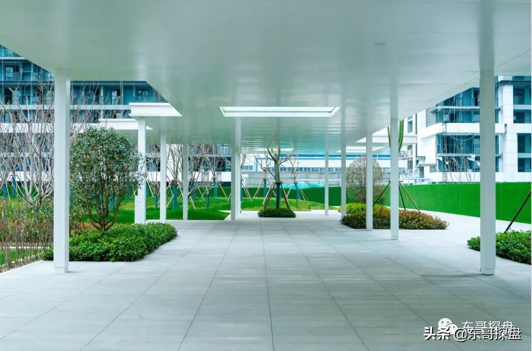 万万没想到，他捅了郑州刚需盘的“窗户纸”