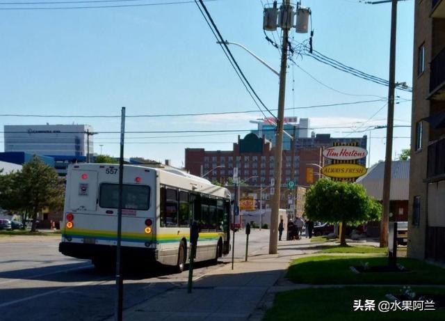 国际出行攻略,新西兰旅游攻略租车