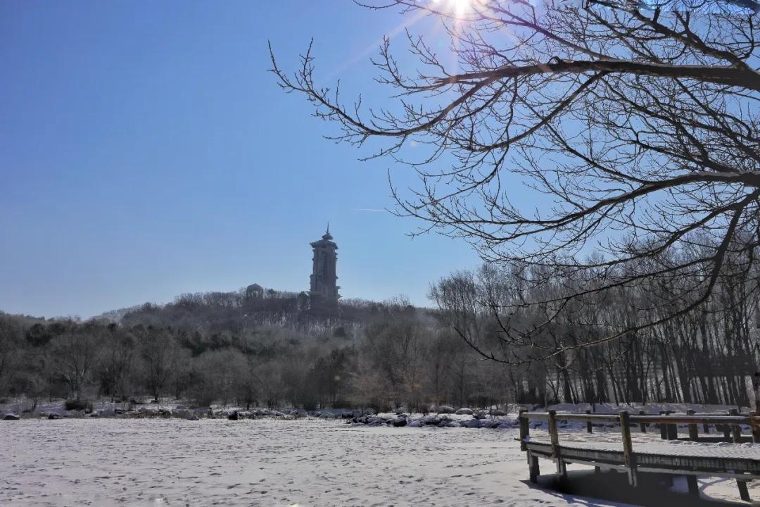 长春净月潭公园免费开放时间,长春净月潭景区旅游攻略