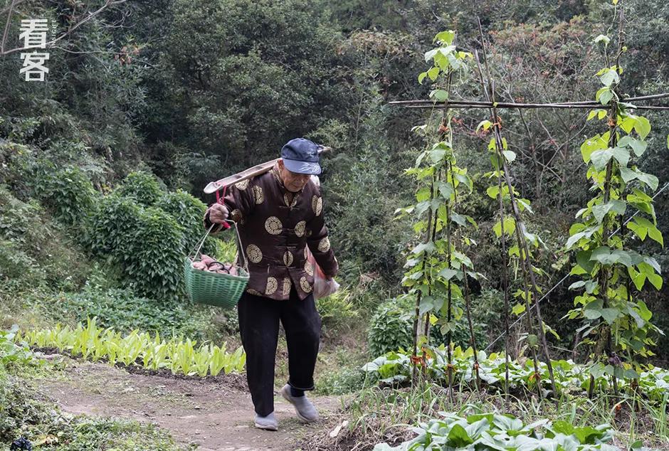 尘肺病最后的日子,尘肺病的最难熬的日子