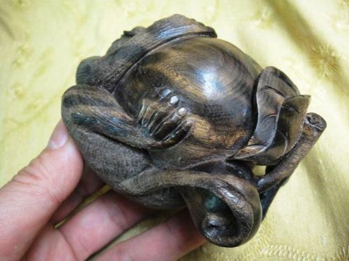 埋藏在地里千年阴沉木,农村里的宝藏植物