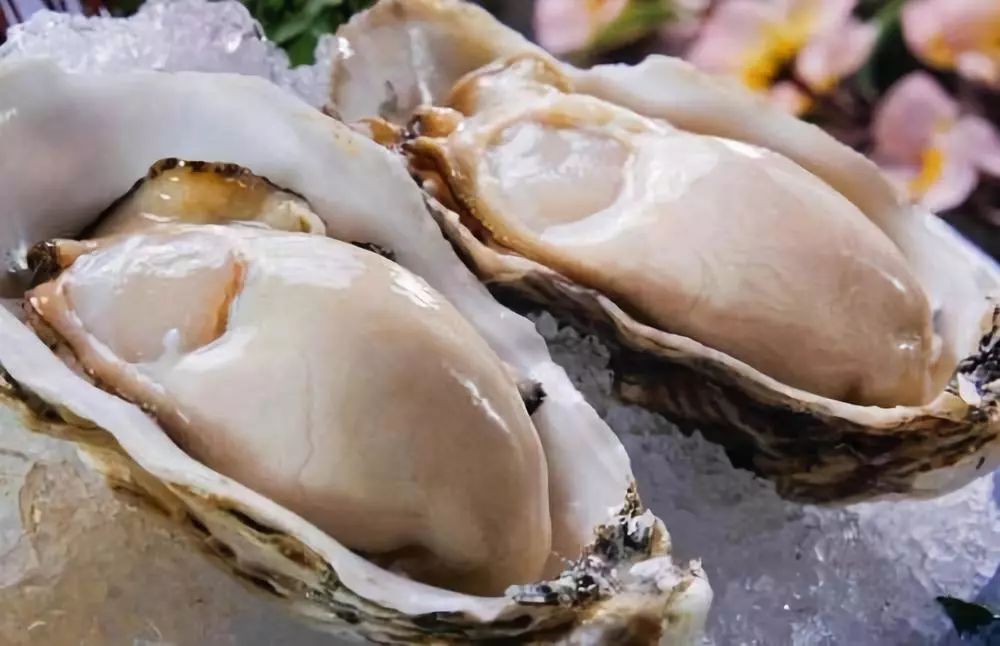 你不知道的台山故事，由旅游局局长亲述，带你看看不一样的台山