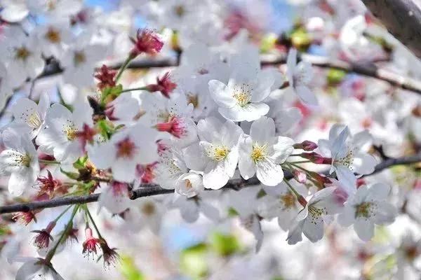 身份证410、411、412开头的,去了郑州就等于去了全世界