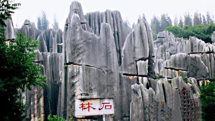 云南昆明天下第一奇观石林美景,天下第一奇观石林拥有喀斯特地形
