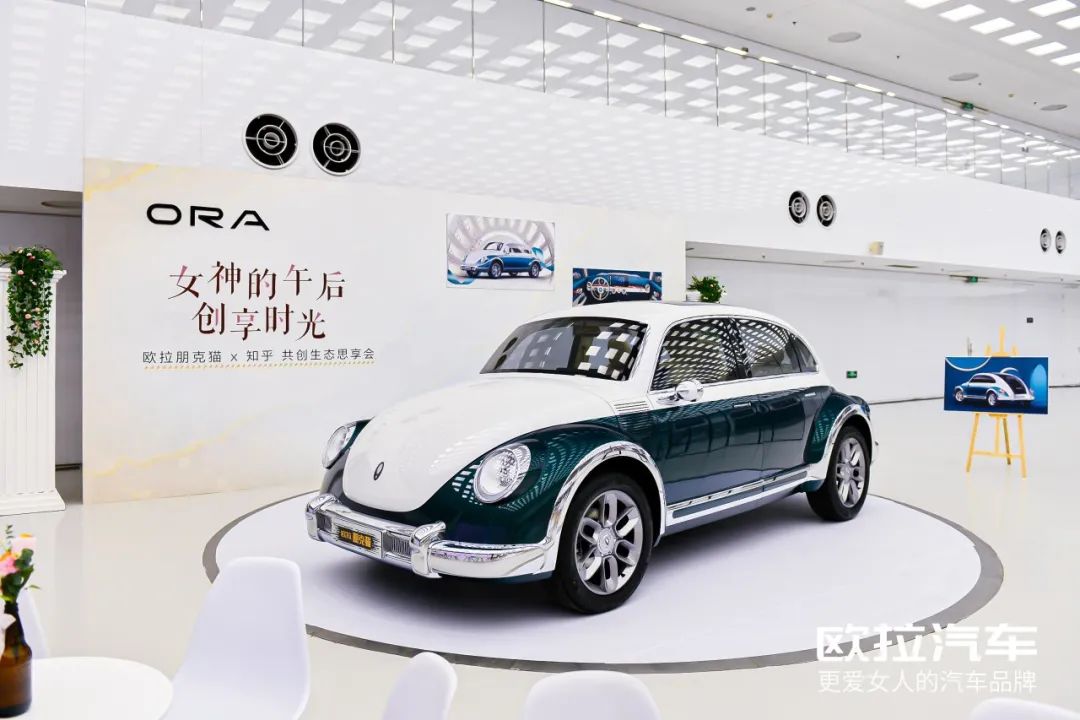 爱自己的女人都懂了有一种潮流叫朋克猫