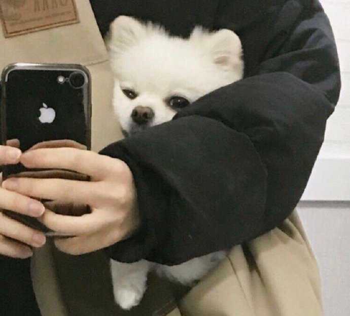 12条诙谐幽默的朋友圈文案,搞怪文案短句沙雕