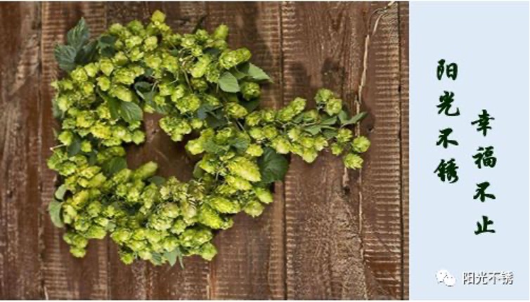 管理者一定要警惕的事,管理者警惕员工