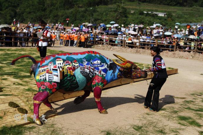 水牛身上画画,水牛身上画了牛郎织女画面