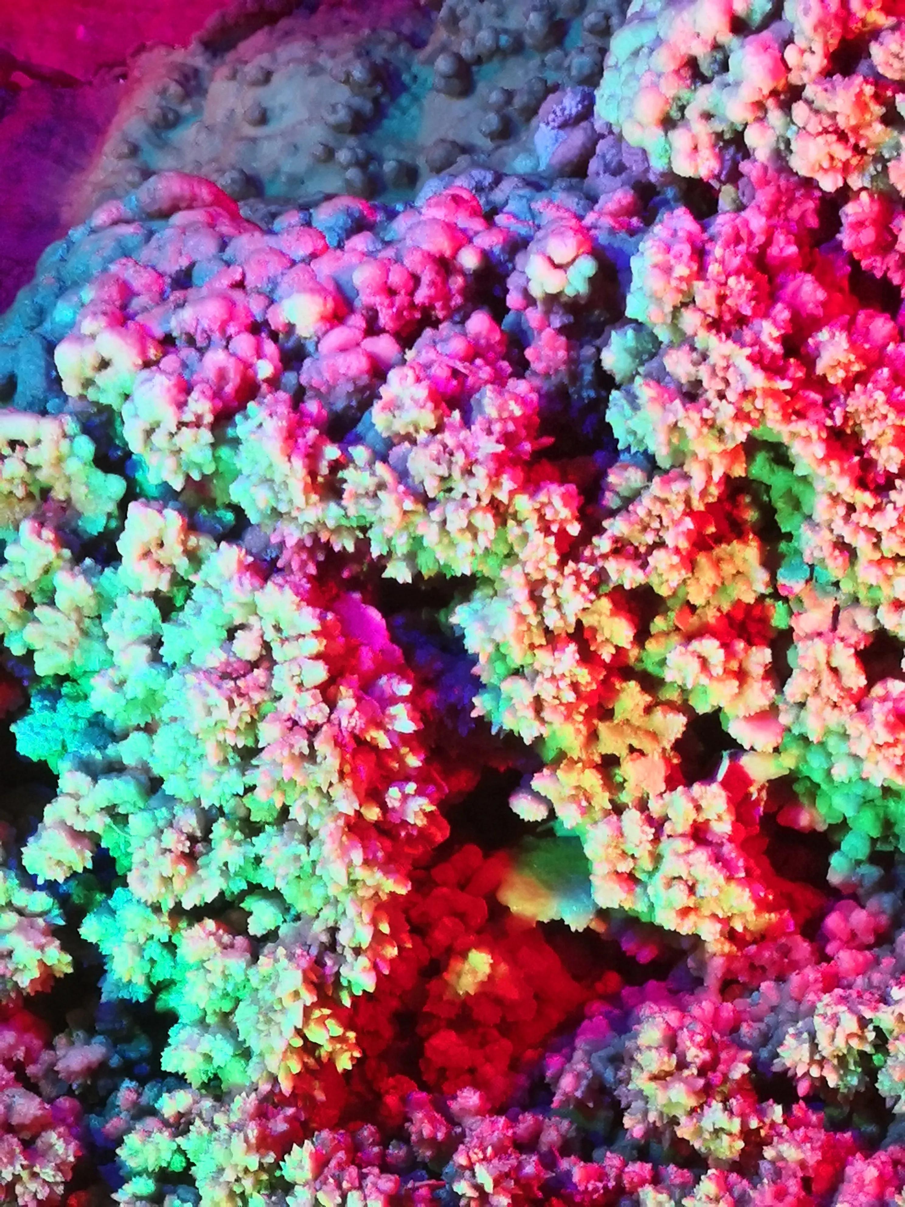 蔺相如故里景点简介,蔺相如邯郸景点