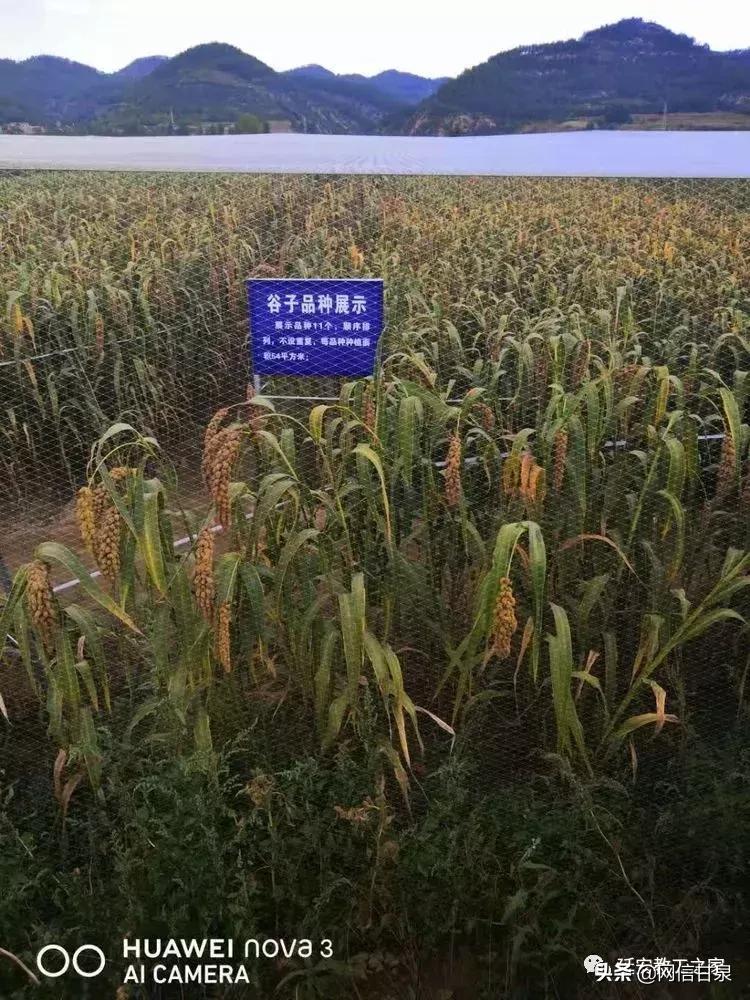 金太阳幼儿园校门,延安市甘泉谢金庄幼儿园