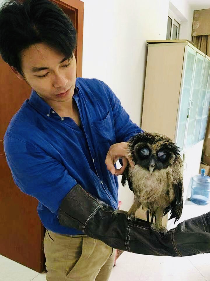 朵拉爱萌全部视频,朵拉爱萌3岁