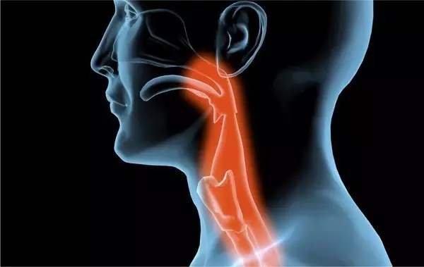 各种精油功效介绍图解大全,精油的七大最佳用途