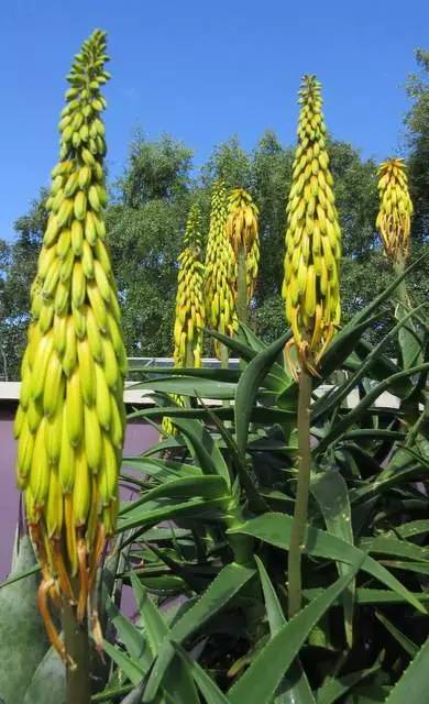 英国家庭花园建造,英国夫妇22年打造梦幻花园