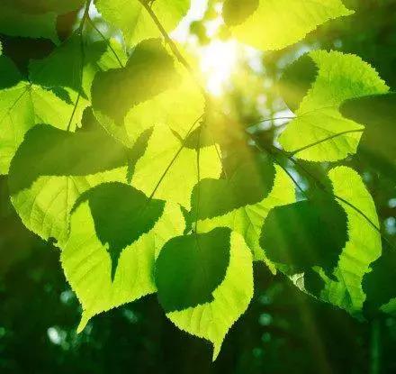 热爱生活的理由100条,热爱生活的理由影集