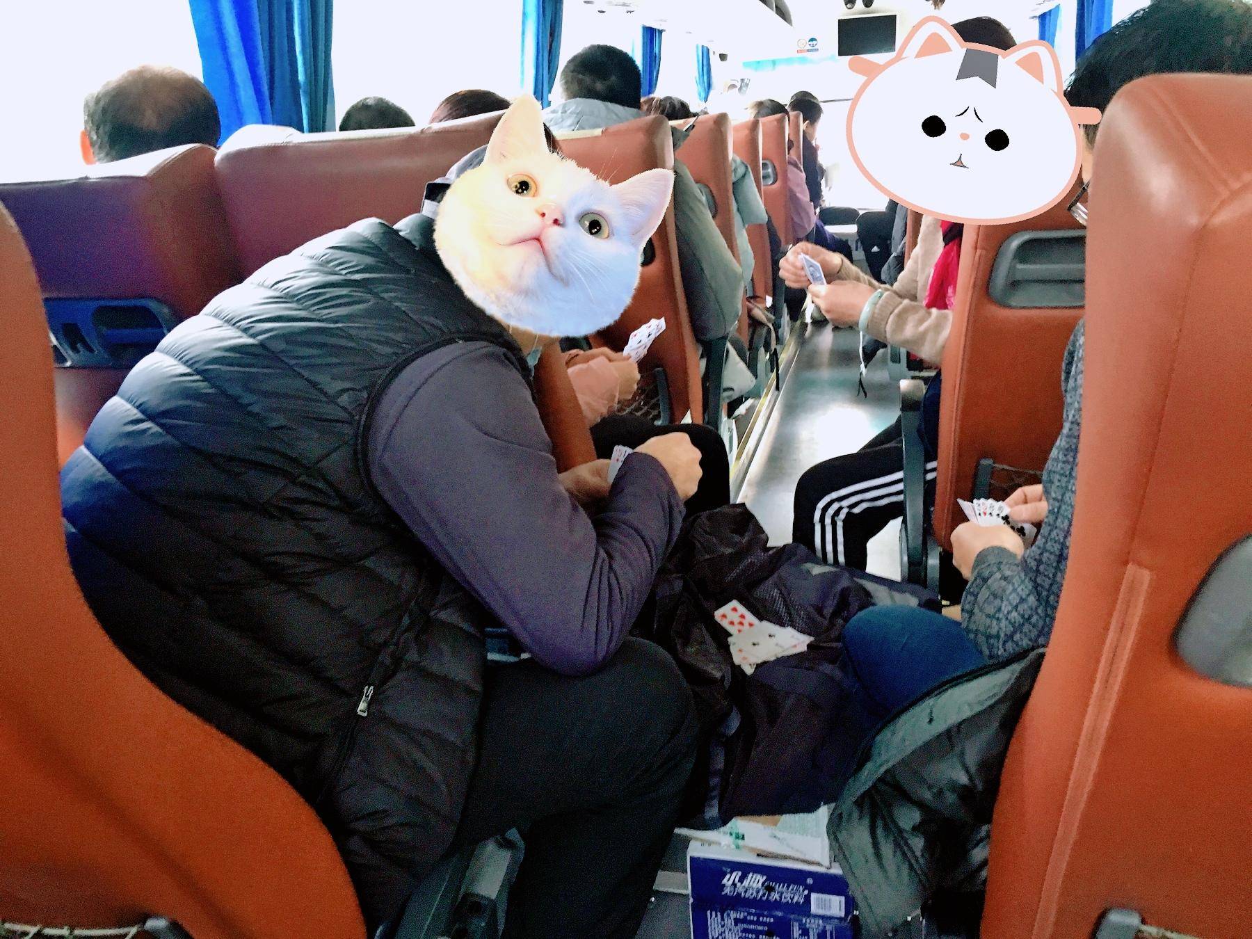 随身无线wifi三网通不限流量,免插卡三网通随身wifi领流量