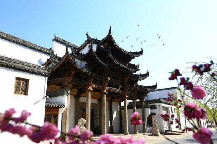 北京梨花旅游攻略,北京旅游攻略大兴庞各庄梨花