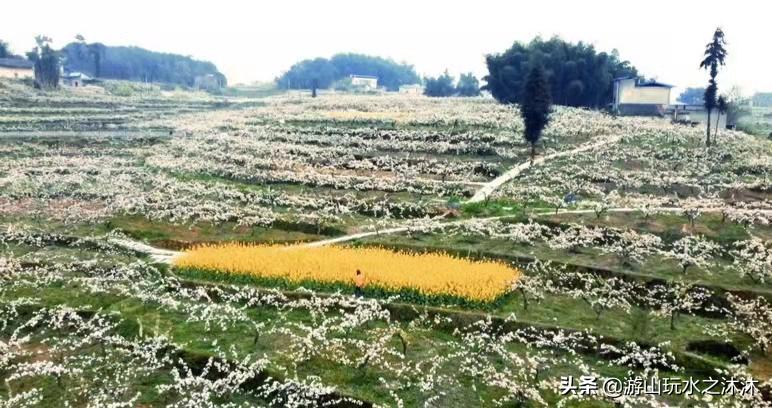 永川吃喝攻略旅游景点,永川旅游攻略推荐