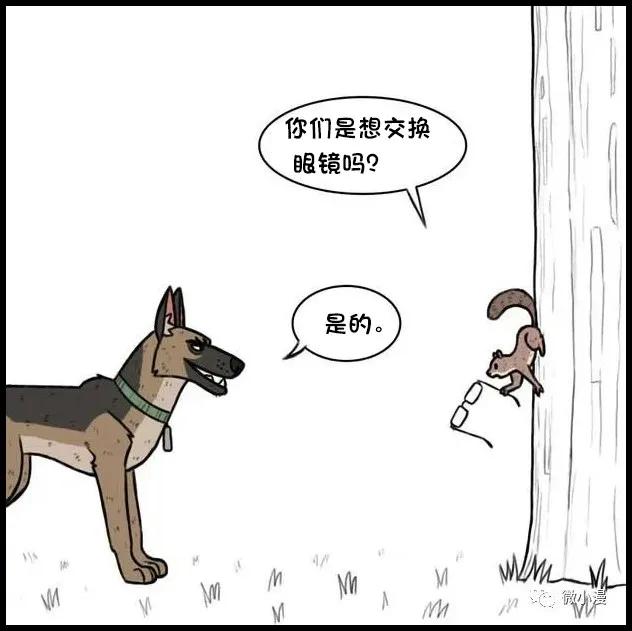 小猫咪欺负大狗漫画,小猫咪欺负大狗漫画暖心