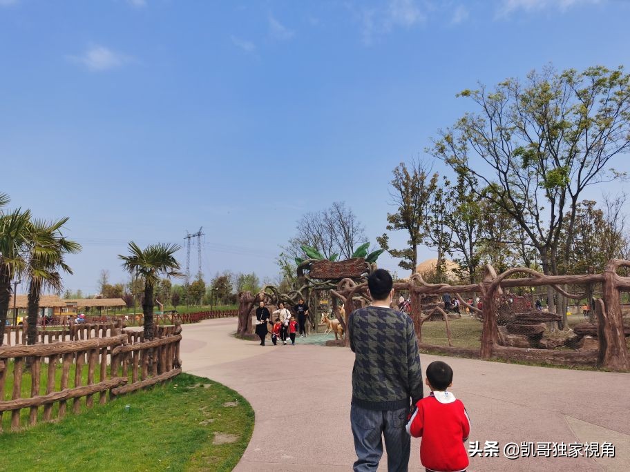 不一样的南通动物园,南通森林野生动物园和上海动物园