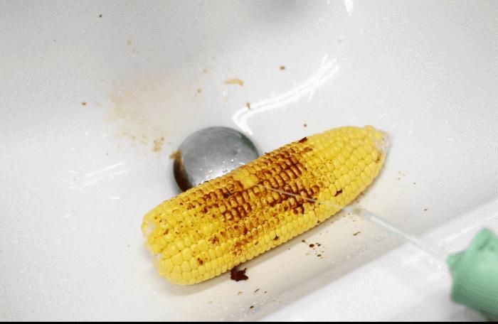 牙医向你推荐一款杀菌冲牙器,罗曼冲牙器加水