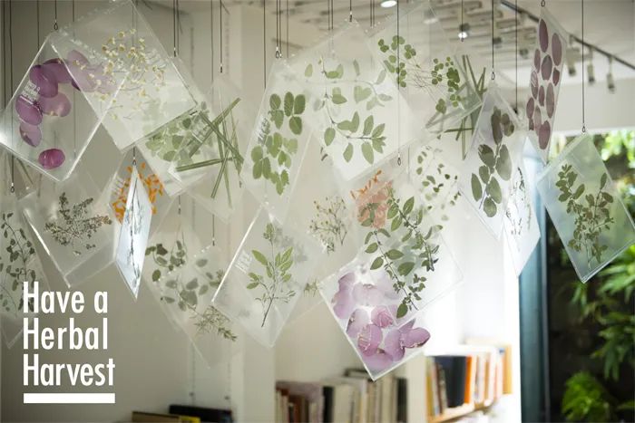 啊每一款都想入手,还不贵