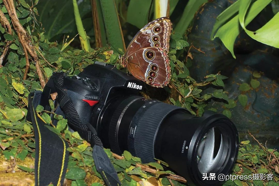 光圈值越大光圈越大正确还是错误,相机光圈与镜头光圈的关系