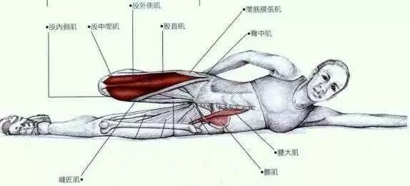 大腿胆经堵塞有什么症状,胆经堵塞疏通调理有七招