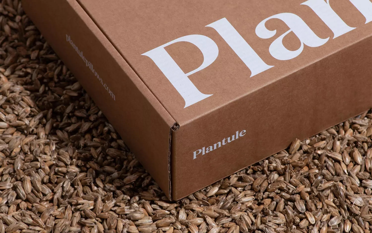 PlantulePillows家居品牌设计via:DmowskiCo.