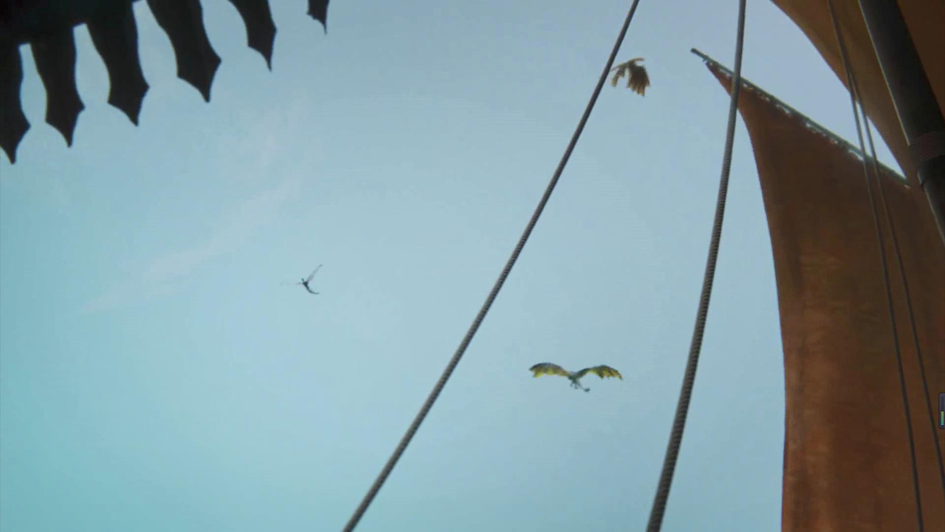 龙的成长之路完整版,龙的一生变化过程视频