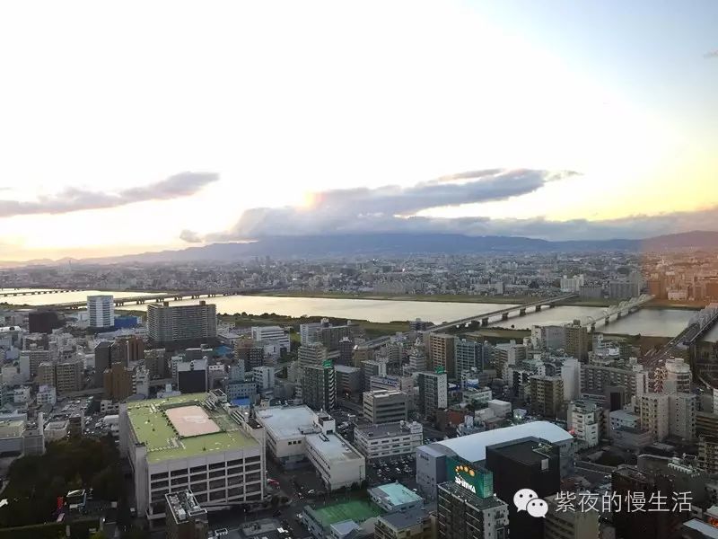 舒适温馨似回家-大阪洲际