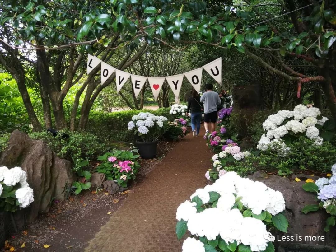 韩国济州岛超详细旅游规划攻略,韩国济州岛攻略自由行