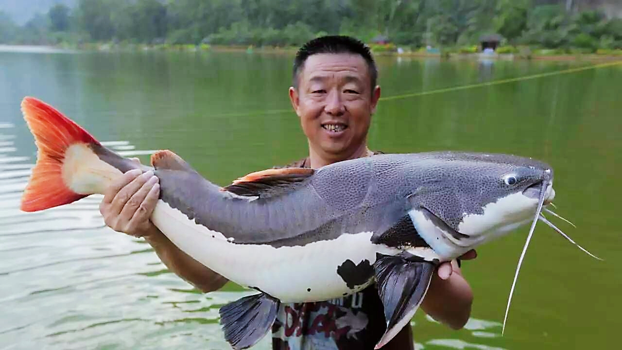 钓鱼男人的六大特点,钓鱼男人很专一