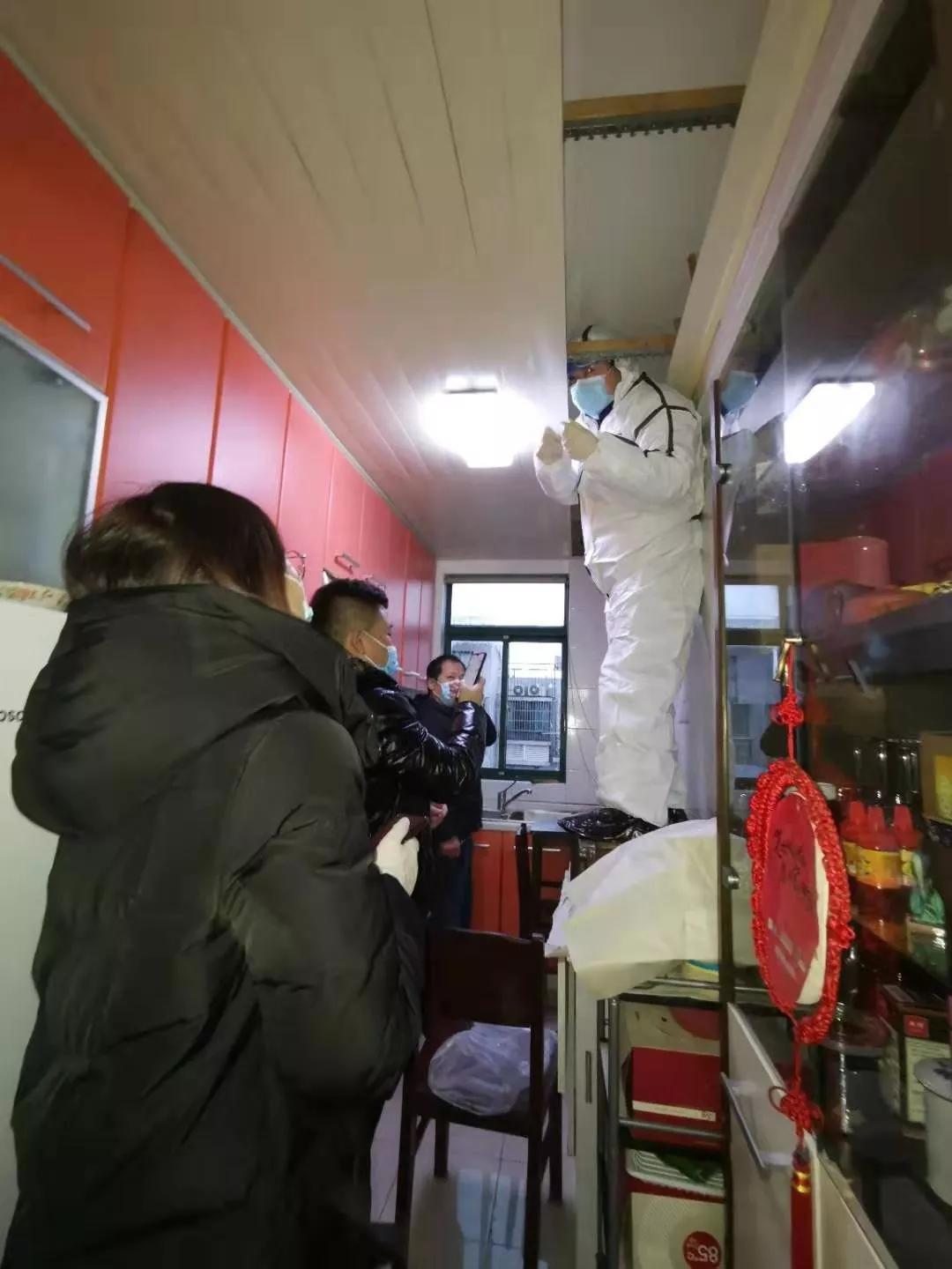 屋里藏有冬眠的蝙蝠怎么办,在屋里发现一只死蝙蝠有什么预兆