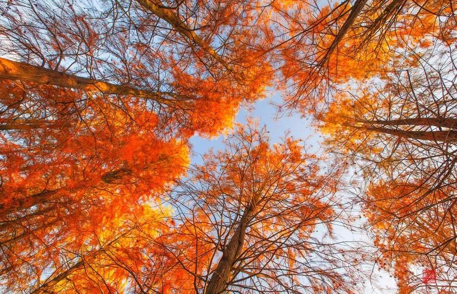 太平湖风景如画心旷神怡,太平湖风景如画