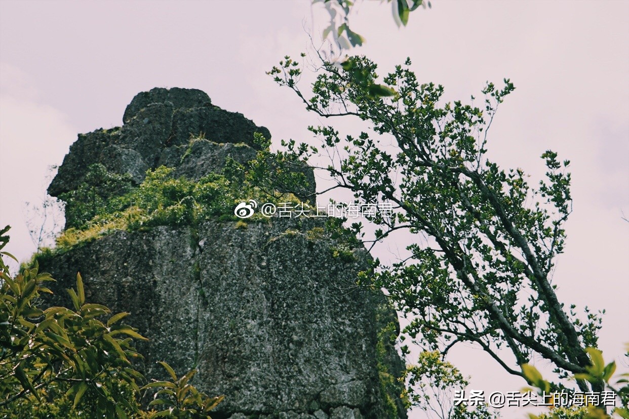 令人流连忘返的美景,令人心旷神怡的地方海南