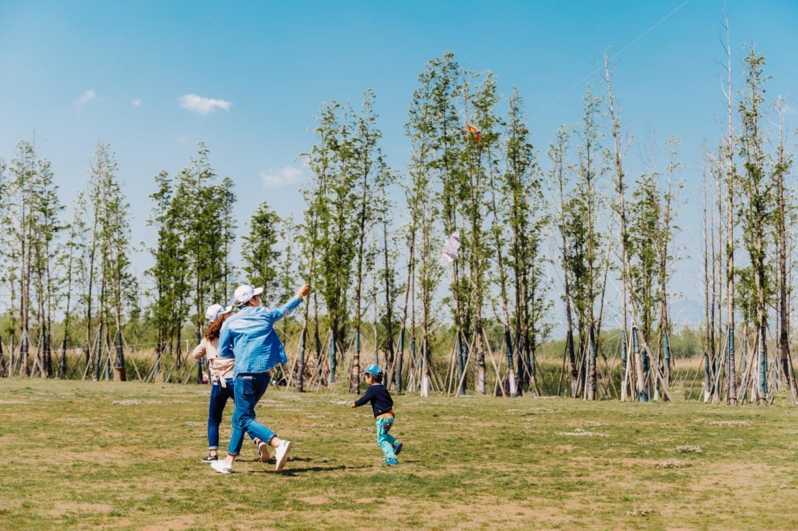 云南昆明最新攻略,昆明旅游不踩坑攻略