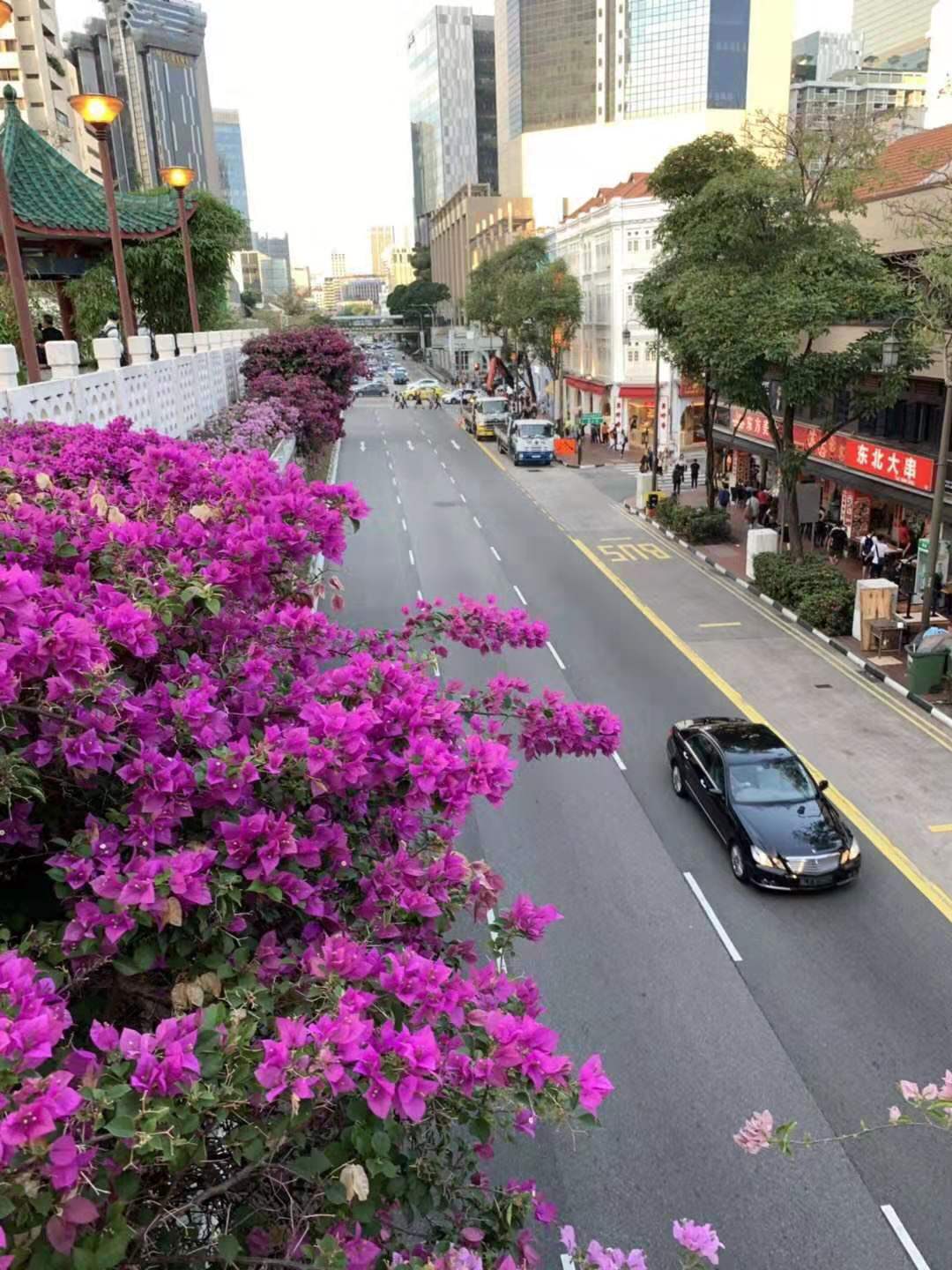 新加坡工种待遇排行,新加坡常见工种薪资