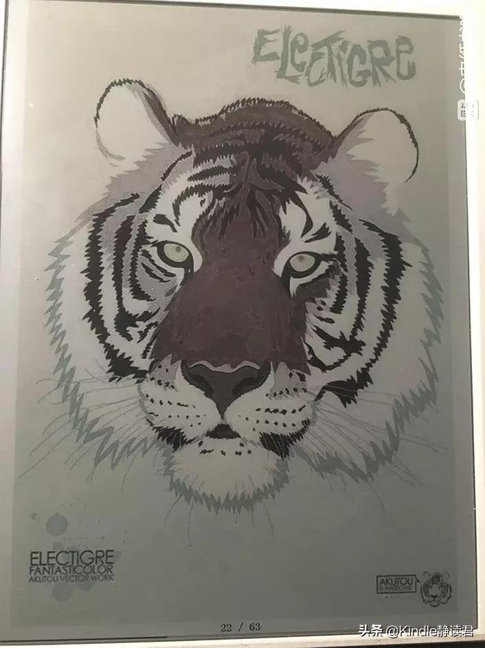 彩色水墨屏电纸书,彩色电纸书分辨率