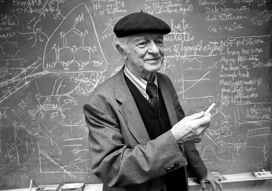 维生素c的食用方法和注意事项,维生素大家都有哪些